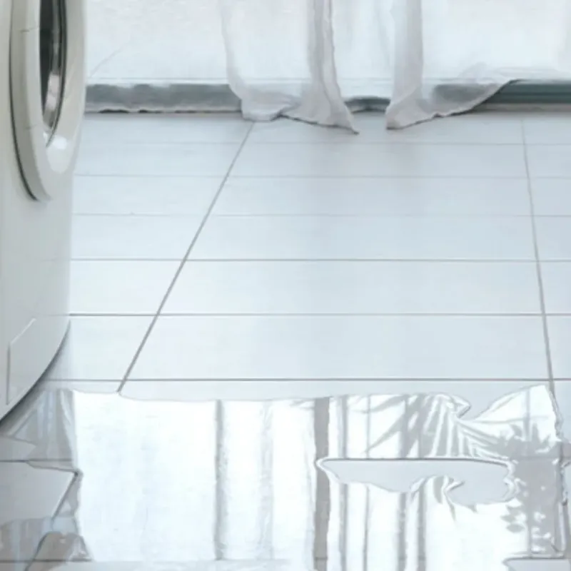 Appliance Leak Cleanup in Marathon County, WI
