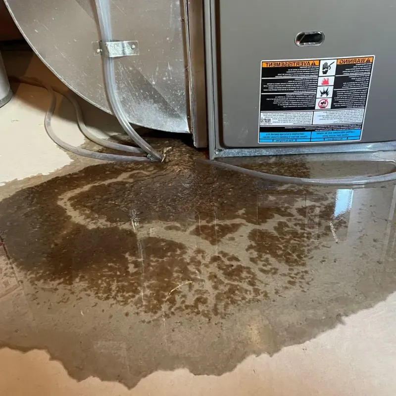 Pipe Burst and Leak Restoration in Marathon County, WI