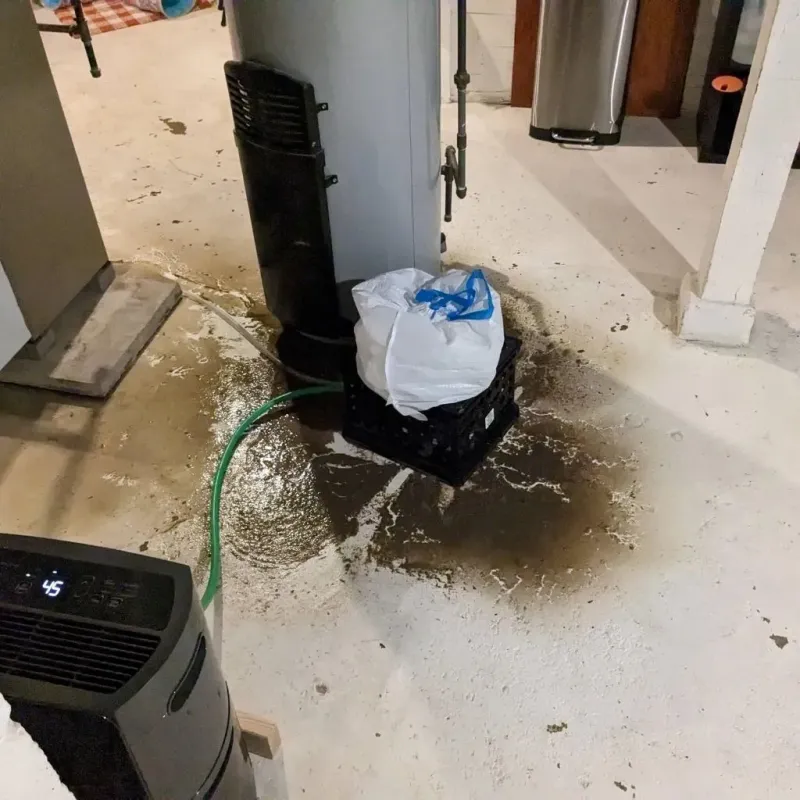 Sewage Backup Cleanup Service in Marathon County, WI